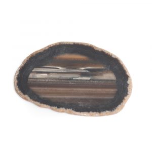 Schijf Zwart Agaat Middel (6 - 8 cm)