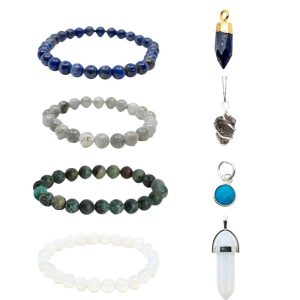 Vissen Sieraden Set - Bundel