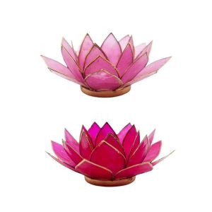 Roze Lotus Sfeerlichten Set - Bundel